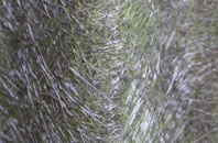 Fulford fibreglass roof work